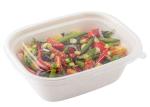 Oilproof Meal Bento 27g 48oz Biodegradable Salad Boxes