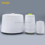 Manufacture Produce 1.25kg Raw White 60/2 Spun Polyester Yarn with Chemical