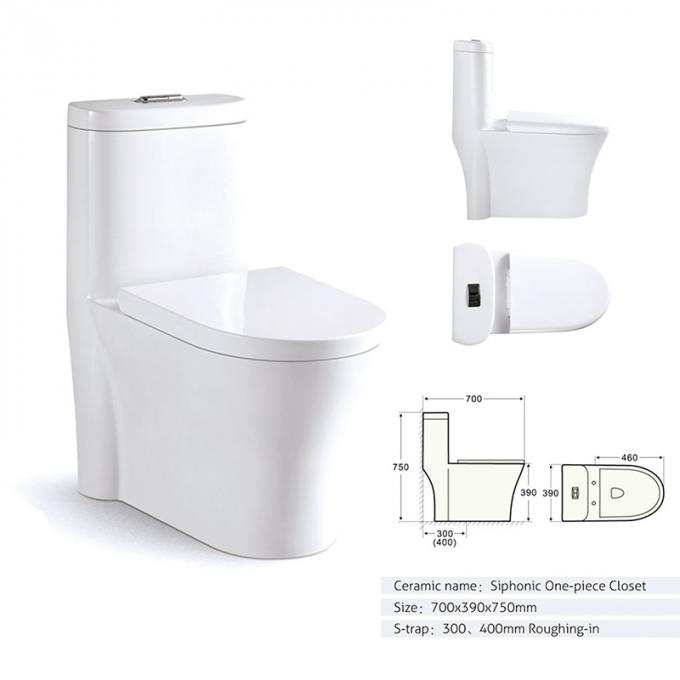 Commercial Ada Bathrooms Toilets For Physically Handicapped Challenged Person 4