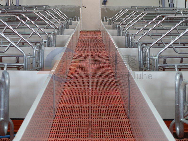 Farrowing Crate Steel Structure for Modern Farm Pig House Shed Hog Cote Winery Pigsty
