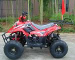 Front Double Swing Arm 70cc ATV Quad Bike 80KG Max Loading High Performance