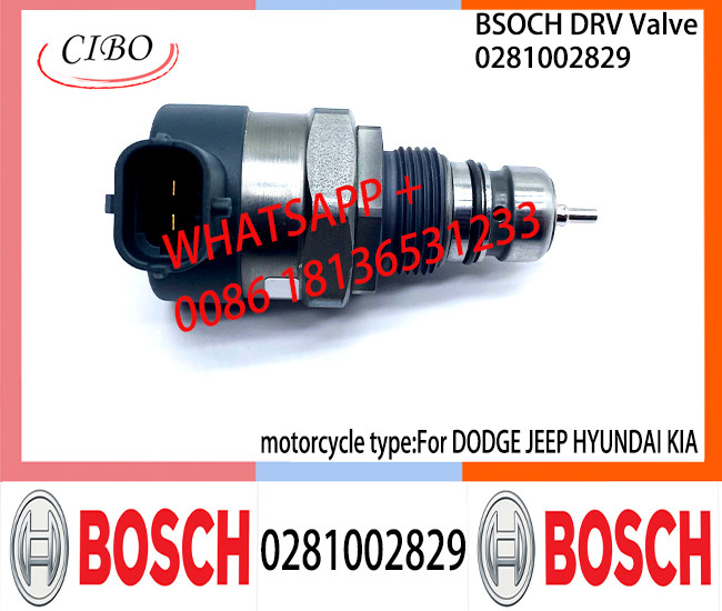 BOSCH DRV Valve 0281002829 Control Valve 0281002829 For DODGE JEEP HYUNDAI KIA