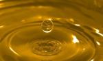 Pure Natural Secoisolariciresinol Diglucoside --Linum usitatissimum L.