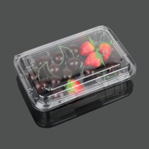 China Cookie Packaging 23*15.5*5.5cm Disposable Plastic Food Box factory