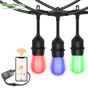 China RGBW 48ft Led Bulb String Lights Outdoor Coloured Bulb Lights factory