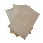 Furniture Material Hardwood 5mm 18mm Birch Faced Plywood