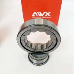 Brass Cage Material Full Complement Cylindrical Roller Bearings NJ2226E NJ2227E