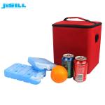 Non Caustic Reusable Fan Ice Pack 450G Food Grade Fit And Fresh Cool Coolers