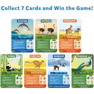China Super Fun for Travel &amp; Family Game Night Custom design Wholesale OEM VN Supplier Playing cards factory