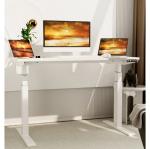 710mm Dual Motor Height Adjustable Desk Basse de Luxe for Unique Coffee Standing