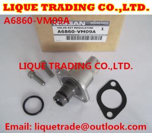 China Overhaul kits 294200-0360 294009-0250 for MITSUBISHI 1460A037, NISSAN A6860-VM09A factory