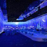Dining Projection Immersive Wall Floor Table Projector Solution For Restaurant