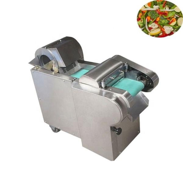 Multifunctional Vegetable Chopper for Cutting Capacity 600/1000/1500kg/h Voltage
