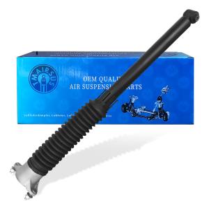 China Car Fit Mercedes A-Class/W177/W247 Coil Spring Shock Rear Oem No 1773206303 Shock Absorber factory
