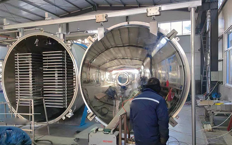 Energy Saving Vegetable Freeze Dryer High Capacity Fast