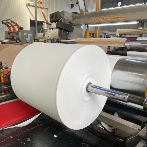 Greaseproof PE Coated Paper Roll Food Grade Eco-friendly Biodegradable