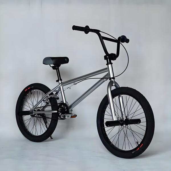 Professional 24inch 26 Inch Bmx Freestyle Bicycle Carbon Steel OEM Colorful