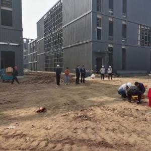 China Q355B Steel Frame Multi Story Steel Structure Office Building factory