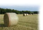 Hay Bale Net Wrap