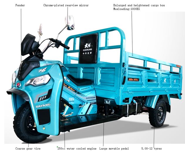 Maximum Loaded 200cc/250cc/300cc Cargo Tricycle Motorized Driving Type 50*100 Chassis