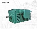 High Voltage Electric Motors IP23 Speed Range 100rpm-3600rpm for Heavy-Duty