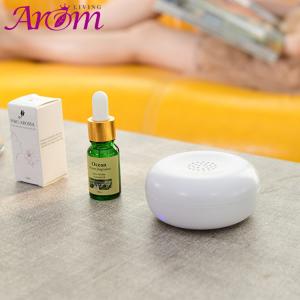 China Multifunctional Portable Mini Scent Nebulizer factory