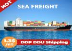 FCL LCL International Sea Freight Forwarding , Sea Freight China To Europe
