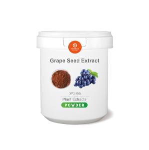 China Grape Seed Extract 95% OPC 100% Natural Plant Herbal Extract Powder Vitis Vinifera Food Additive Antioxidant Proanthocyanidins factory