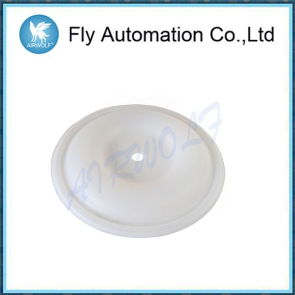 2" Air Pump Diaphragm Kits 2150 Series Graco Diaphragm Pump Repair Kits