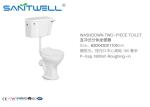 Washdown Two Piece Toilet Colorful Ceramic Sanitary Ware Wall Mounted Type
