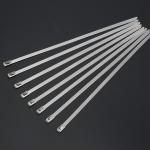 Heavy Duty Stainless Steel Cable Ties Self Locking 10 Inch Zip Ties 50pcs / Pkt