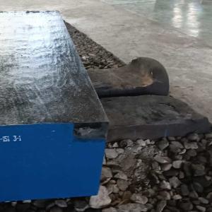 China NF 20NC11 Structural Sheet Metal Black Surface High Strength factory