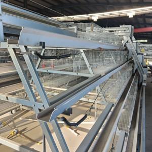 China Convenient Poultry Cage for Farmers Space Efficiency 15-20 Years Life Time factory