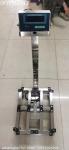 304 Stainless Steel 500kg Electronic Balance Weighing Scales