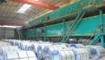 Prepainted Polymer Color Coated PPGI A653 G60 S350GD 0.12-4.0mm Galvanized Steel