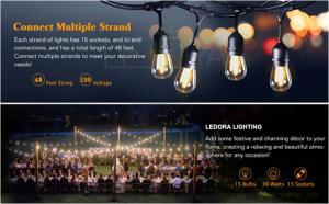 China 100Ft G40 Globe String Lights with Bulbs ,Outdoor Market Lights for Indoor/Outdoor Commercial Decor factory