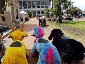 China Hansel amusement park stuffed walking children's electric animal toy factory