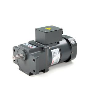 AC/DC Micro Reducer Compact Gear Motor 6~250w 1/3 Phase 110/220/380V
