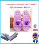 2 colors PVC slipper mould maker in China