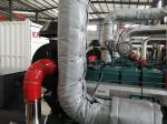 Steyr Engine CBM CNG Gas Generator 1800RPM LNG Generator