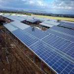 Hot Dip Galvanized Steel Photovoltaic Mounting System For Greenhouse