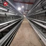 5000 Birds Broiler Poultry Cage Farm Hot Dip Galvanized Battery H Frame Farm