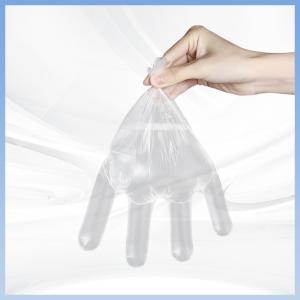 China Safe Handling PE Disposable Gloves For Food Processing Disposable Gloves Polyethylene factory