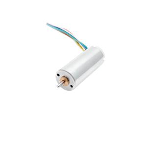China 12mm Slotless Brushless Motor Sensored Micromotor 6.5W 25310rpm Customizable for Medical Pumps factory
