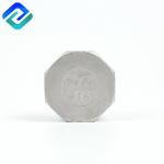 WCB End Cap SS Pipe Fittings