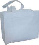 FDA Polypropylene 100G Laminated Non Woven Bags