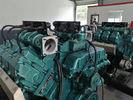 China 260KW Deutz V6 Biogas Generators Combined Heat Power Cogeneration Generator factory