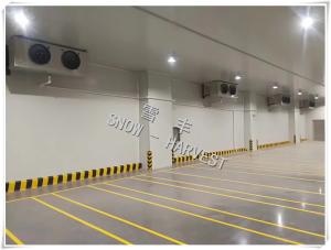 China Large Capacity Logistics Cold Storage Energy Saving Precision Temperature factory
