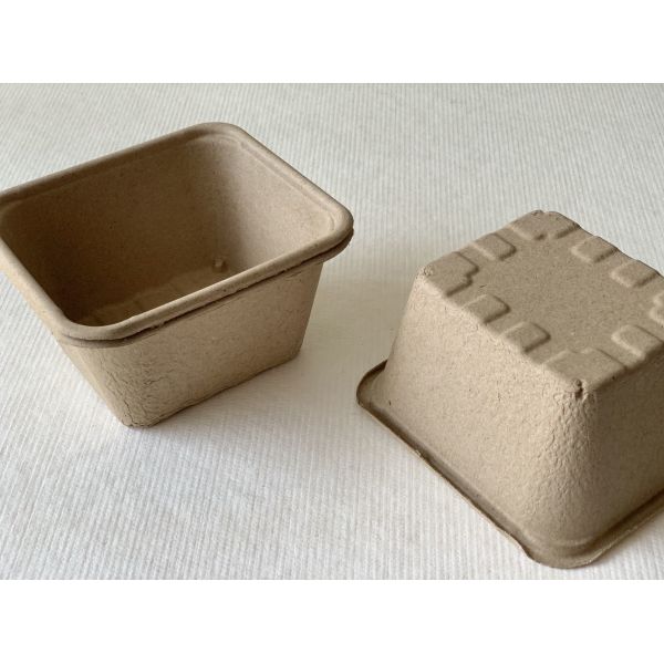 China WaterProof Dry Press Moulded Fibre Packaging Fruit Containers 100% Recyclable factory