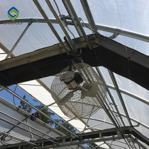 China Curtain Movable Automated Blackout Greenhouse For Medical Plant factory